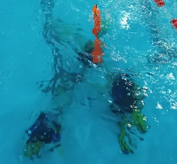 Дайвинг в Рязани глубокое погружение с аквалангом. Ultra Подарки. Дайвинг. Купить дайвинг в Рязани, обучение глубокому погружению, арендовать акваланг и подводное снаряжение. UltraPodarki.ru 8 800 505 95 30. дайвинг погружение Рязань, подводное плавание Рязань, дайвинг клуб Рязань, подарочные сертификаты, глубокое погружение, погружение с аквалангом Рязань, дайвинг центр Рязань, купить дайвинг Рязань