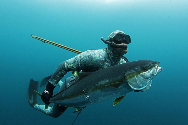 Дайвинг в Рязани глубокое погружение с аквалангом. Ultra Подарки. Дайвинг. Купить дайвинг в Рязани, обучение глубокому погружению, арендовать акваланг и подводное снаряжение. UltraPodarki.ru 8 800 505 95 30. дайвинг погружение Рязань, подводное плавание Рязань, дайвинг клуб Рязань, подарочные сертификаты, глубокое погружение, погружение с аквалангом Рязань, дайвинг центр Рязань, купить дайвинг Рязань