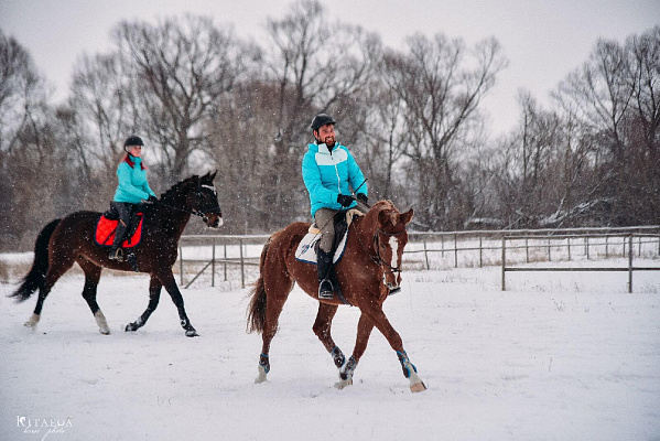 Конная прогулка для двоих в Рязани. Подарочные сертификаты Ultra Подарки. Купить оригинальный подарок или подарочный сертификат на Конная прогулка для двоих в Рязани. Сервис UltraPodarki.ru 8-800-505-9530. Катание на лошадях, Прогулка на лошади, Прогулка на лошадях для двоих, Конная прогулка для двоих, конный клуб, Конный клуб Гиппа, конная прогулка, конная прогулка в Рязани