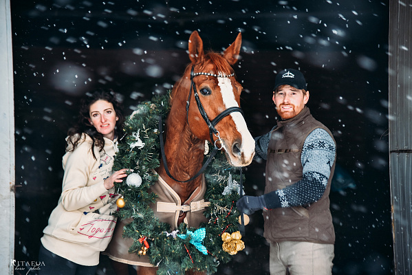 Конная прогулка для двоих в Рязани. Подарочные сертификаты Ultra Подарки. Купить оригинальный подарок или подарочный сертификат на Конная прогулка для двоих в Рязани. Сервис UltraPodarki.ru 8-800-505-9530. Катание на лошадях, Прогулка на лошади, Прогулка на лошадях для двоих, Конная прогулка для двоих, конный клуб, Конный клуб Гиппа, конная прогулка, конная прогулка в Рязани