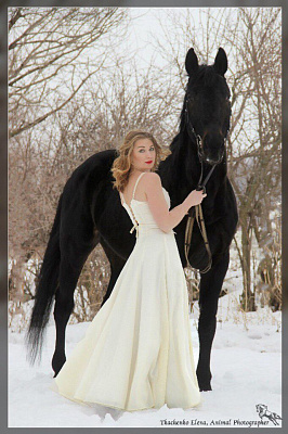 Конная прогулка для двоих в Рязани. Подарочные сертификаты Ultra Подарки. Купить оригинальный подарок или подарочный сертификат на Конная прогулка для двоих в Рязани. Сервис UltraPodarki.ru 8-800-505-9530. Катание на лошадях, Прогулка на лошади, Прогулка на лошадях для двоих, Конная прогулка для двоих, конный клуб, Конный клуб Гиппа, конная прогулка, конная прогулка в Рязани