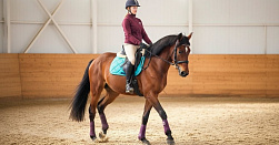 Конная прогулка