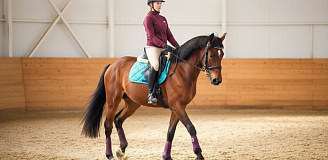 Конная прогулка