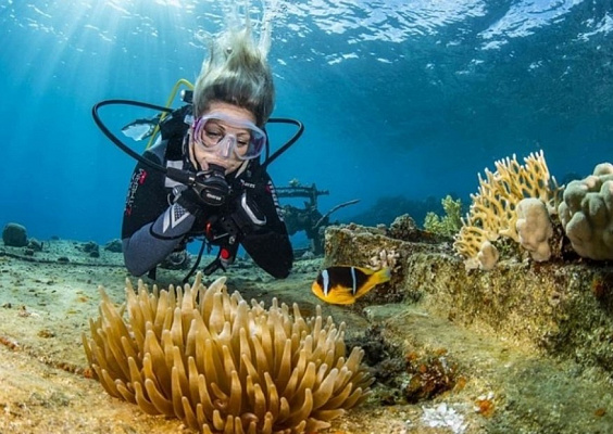 Дайвинг в Рязани глубокое погружение с аквалангом. Ultra Подарки. Дайвинг. Купить дайвинг в Рязани, обучение глубокому погружению, арендовать акваланг и подводное снаряжение. UltraPodarki.ru 8 800 505 95 30. дайвинг погружение Рязань, подводное плавание Рязань, дайвинг клуб Рязань, подарочные сертификаты, глубокое погружение, погружение с аквалангом Рязань, дайвинг центр Рязань, купить дайвинг Рязань