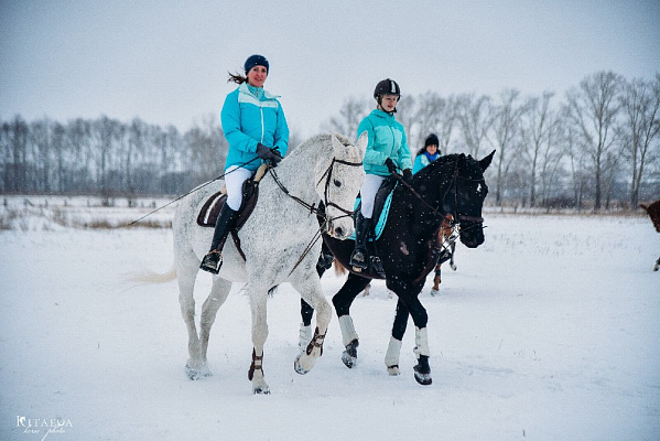 Конная прогулка для двоих в Рязани. Подарочные сертификаты Ultra Подарки. Купить оригинальный подарок или подарочный сертификат на Конная прогулка для двоих в Рязани. Сервис UltraPodarki.ru 8-800-505-9530. Катание на лошадях, Прогулка на лошади, Прогулка на лошадях для двоих, Конная прогулка для двоих, конный клуб, Конный клуб Гиппа, конная прогулка, конная прогулка в Рязани