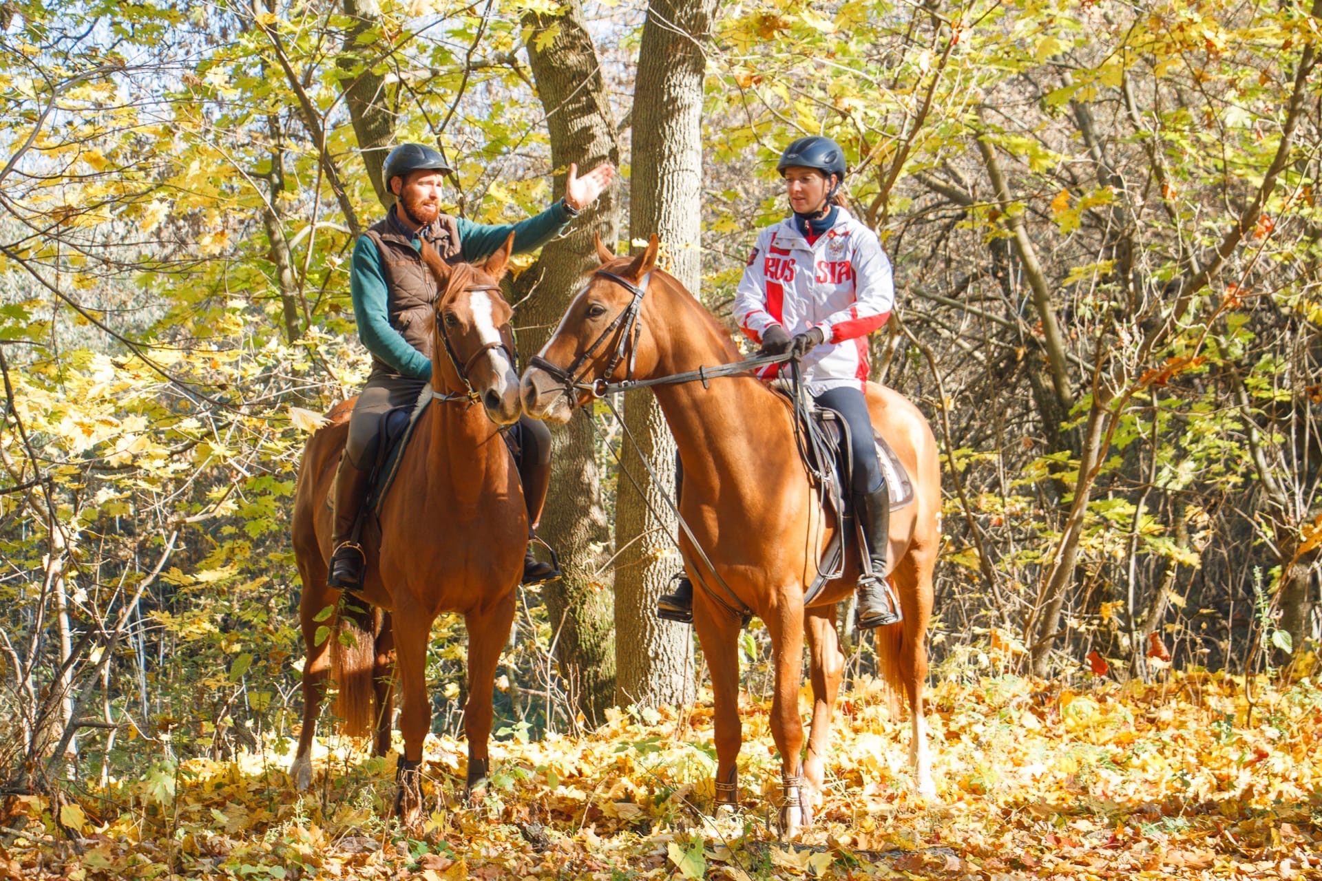 Прогулки на лошадях в Рязани